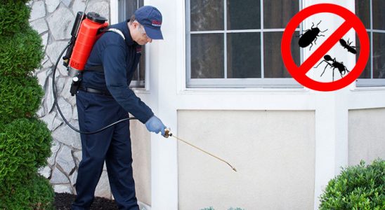 Vakfıkebir Gümüşkurt İlaçlama böcek ilaçlama ve haşere kontrolü — ilaclama-tr.com
